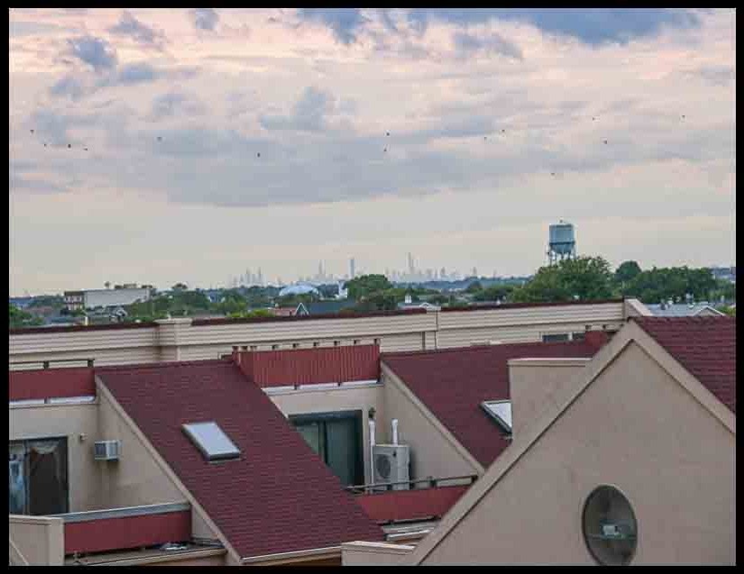 NYC skyline view from rooftop